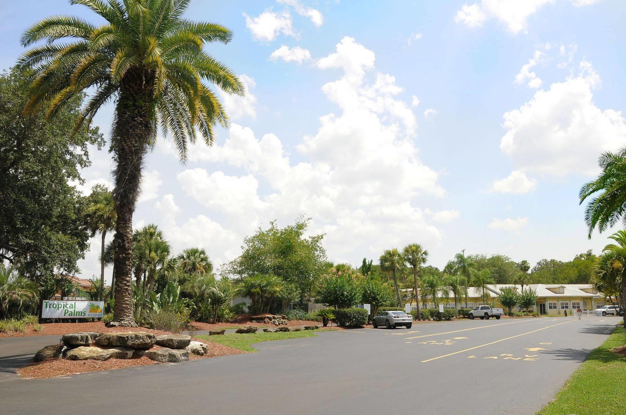 Lodge Tropical Palms & Kissimmee